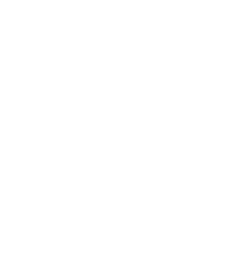 Twinny Twin Logo