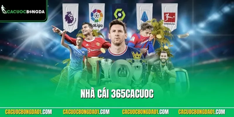 Nhà cái 365cacuoc