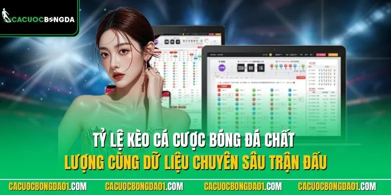 Tỷ lệ kèo cá cược bóng đá chất lượng cùng dữ liệu chuyên sâu trận đấu